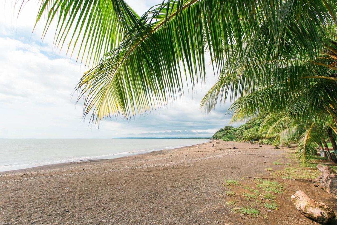 Pacific Edge Eco Lodge Dominical Exterior foto